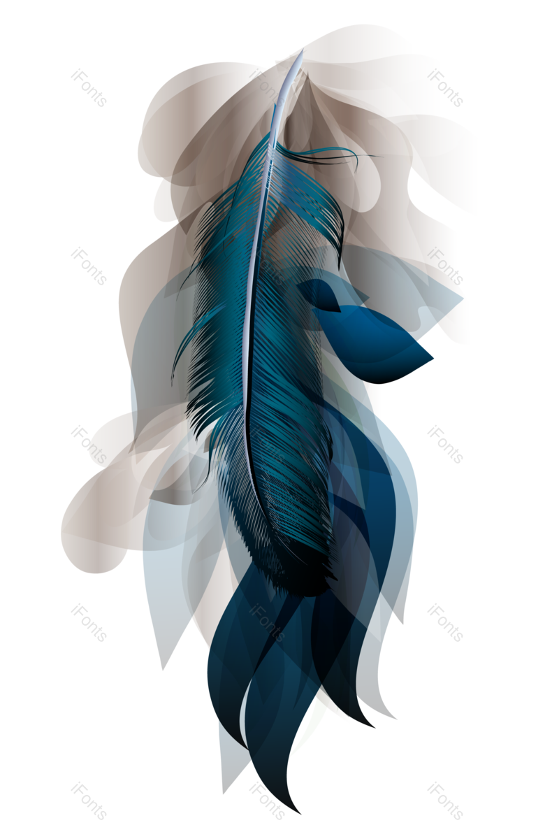 矢量元素图片,羽毛元素,PNG,免抠素材